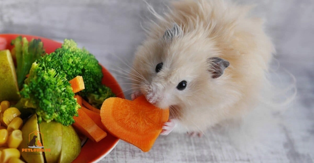 The Ultimate Hamster Food List A Comprehensive Guide